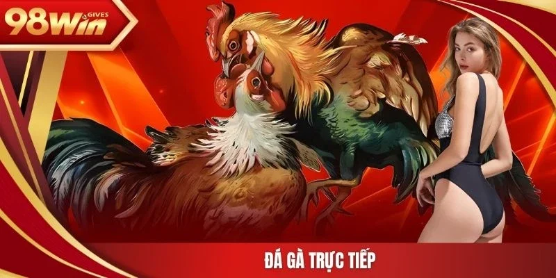 đá gà trực tiếp